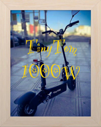 E-Scooter TinyTom